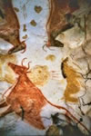 Detail from the painted gallery in the cave of Lascaux